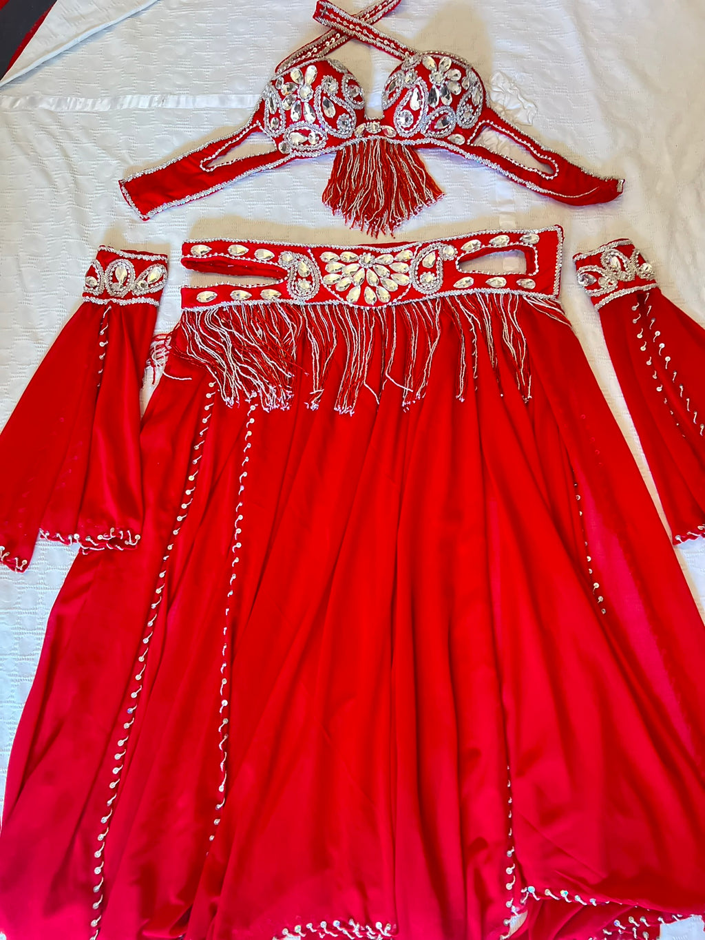 Professional Belly dance costume/ Custom-made luxurious belly dancer outfit