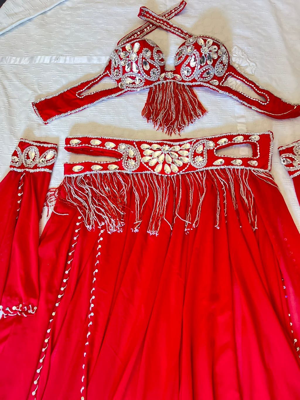 Professional Belly dance costume/ Custom-made luxurious belly dancer outfit