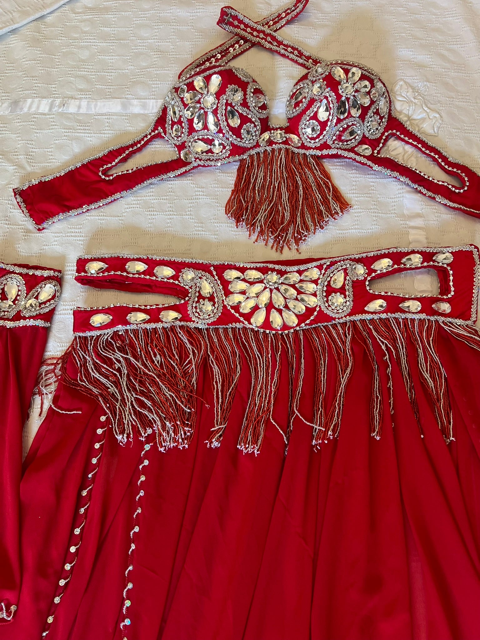 Professional Belly dance costume/ Custom-made luxurious belly dancer outfit