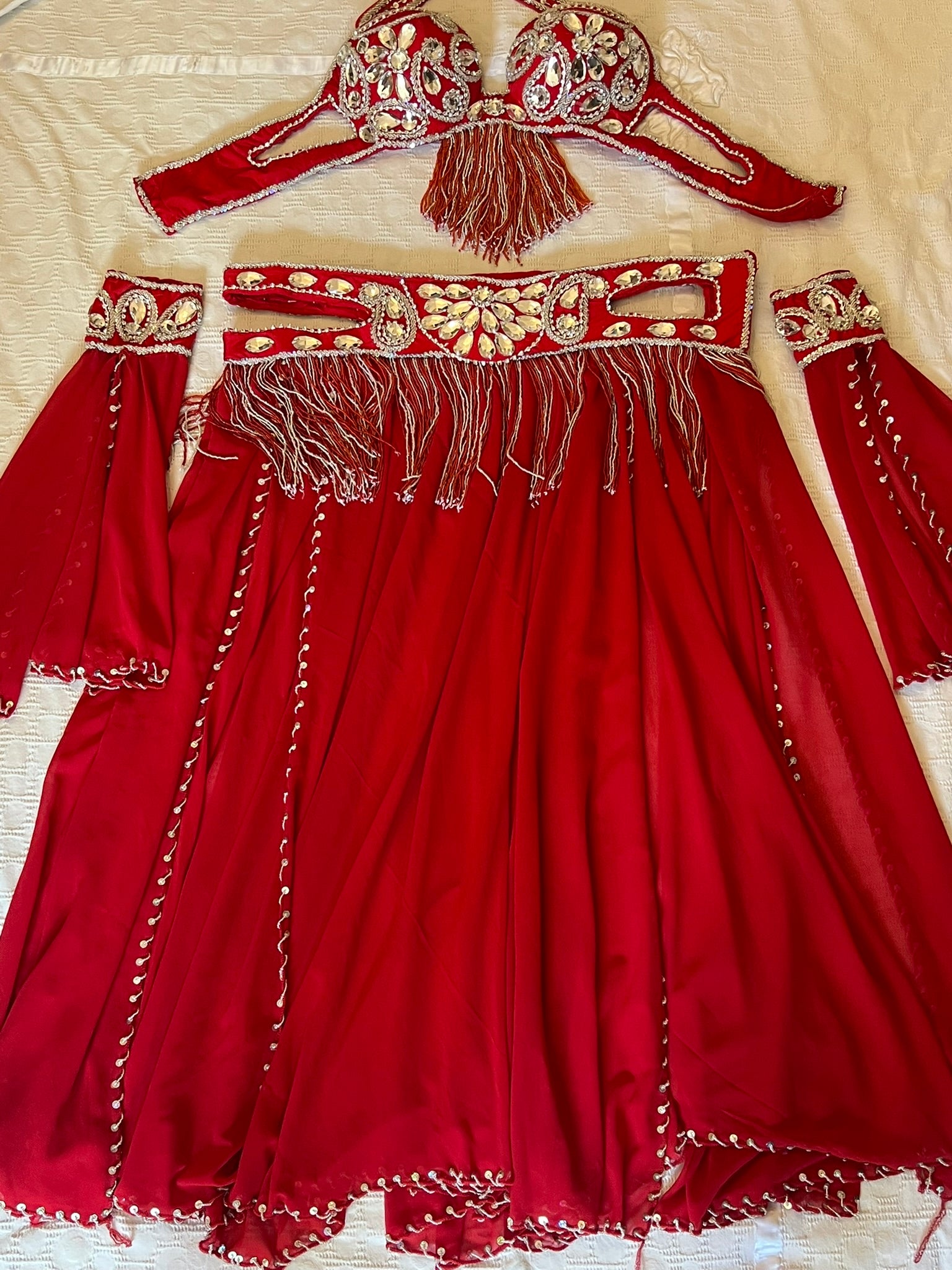 Professional Belly dance costume/ Custom-made luxurious belly dancer outfit
