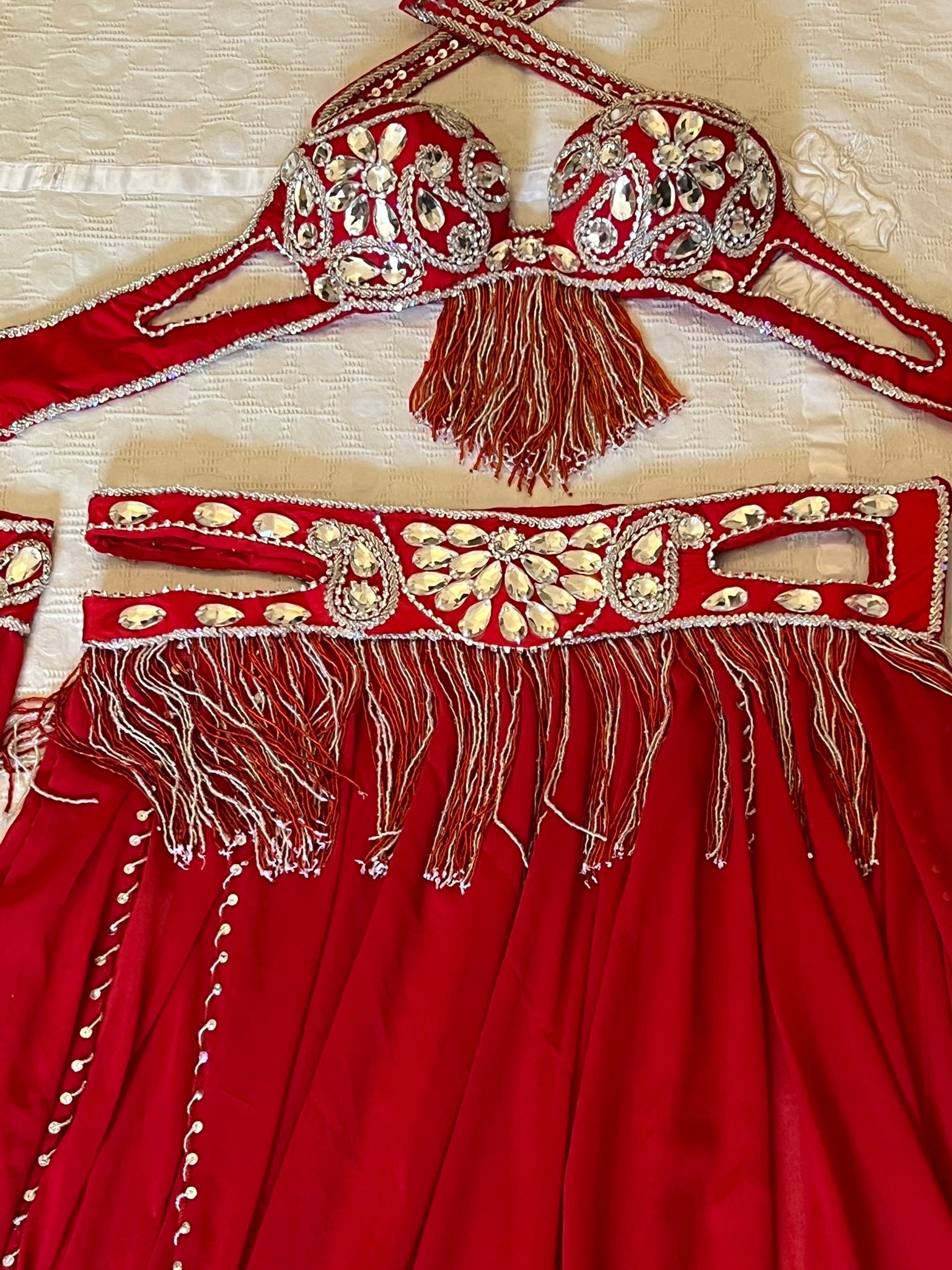 Professional Belly dance costume/ Custom-made luxurious belly dancer outfit