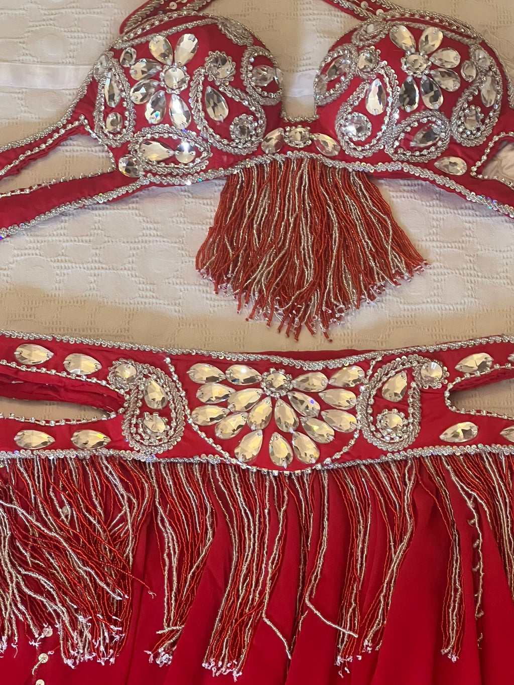 Professional Belly dance costume/ Custom-made luxurious belly dancer outfit