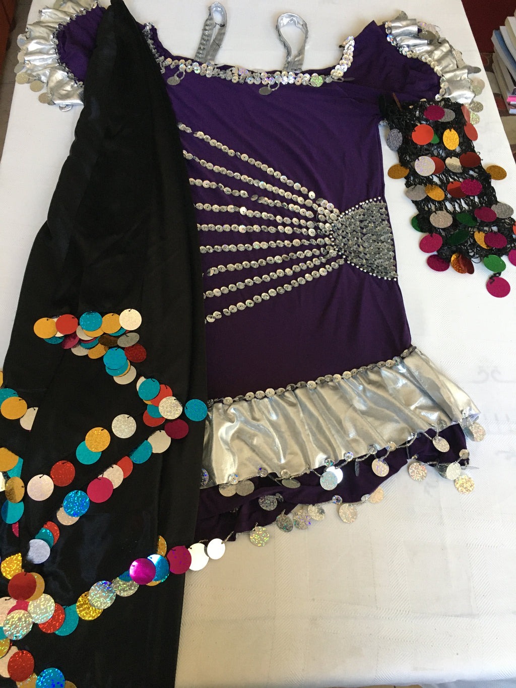 An Egyptian belly dance costume featuring a purple dress with silver and gold sequins, accompanied by a black and multicolored accessory.