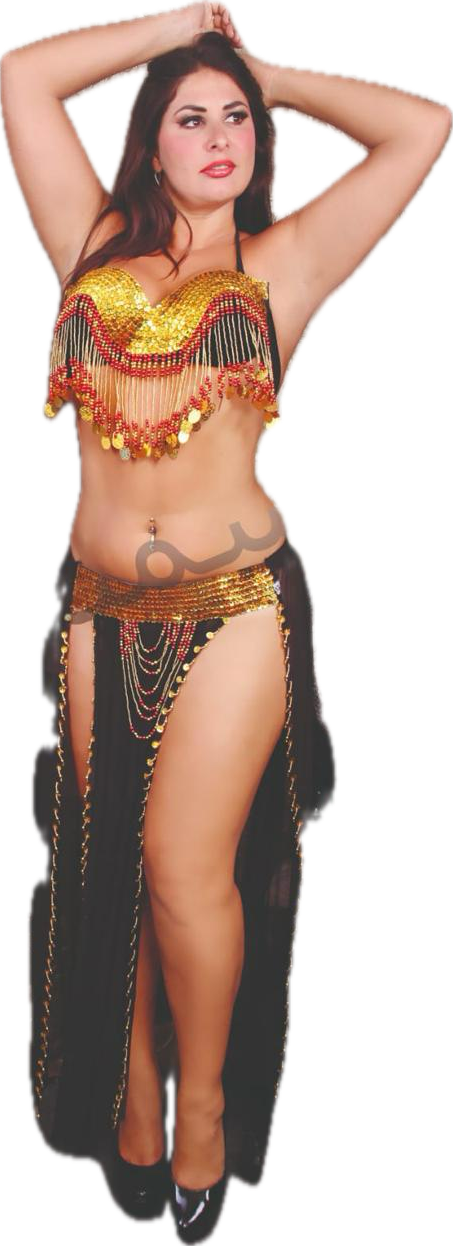Sexy Egyptian belly dance costume/ Handmade belly dance belt, skirt and bra
