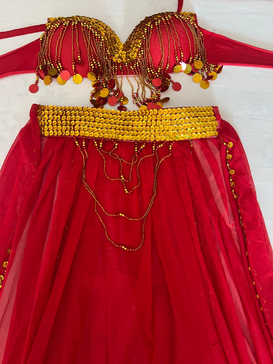Sexy Egyptian belly dance costume/ Handmade belly dance belt, skirt and bra
