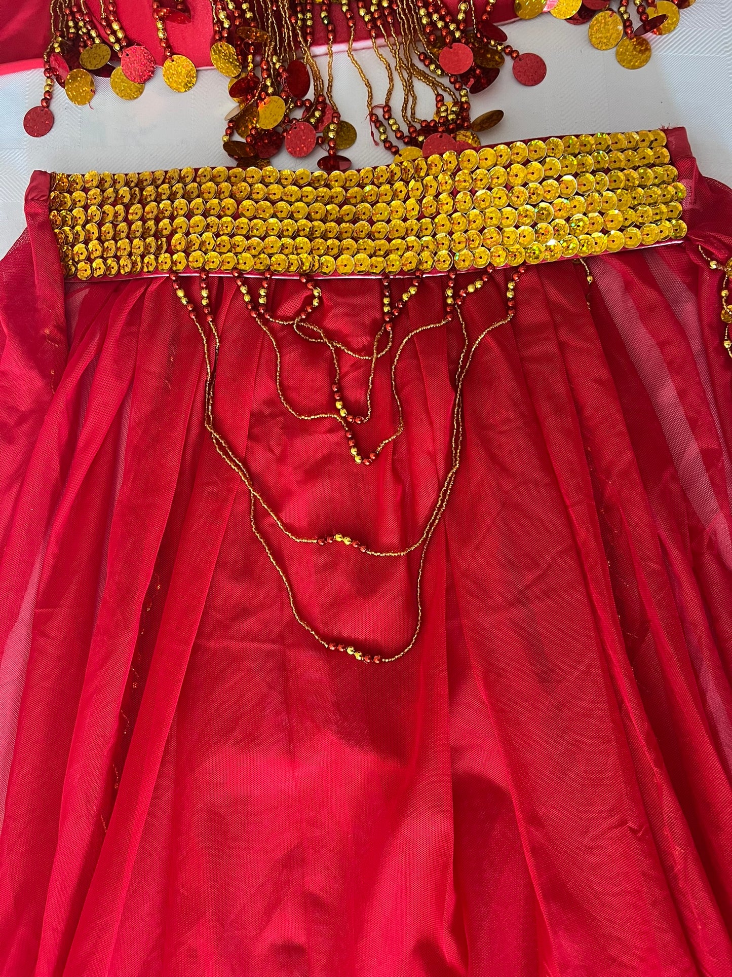 Sexy Egyptian belly dance costume/ Handmade belly dance belt, skirt and bra