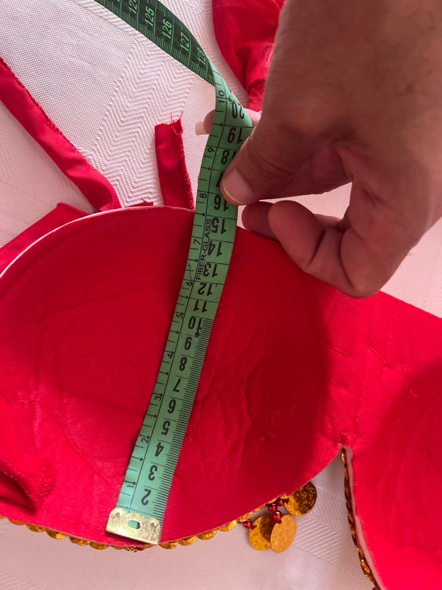 Sexy Egyptian belly dance costume/ Handmade belly dance belt, skirt and bra