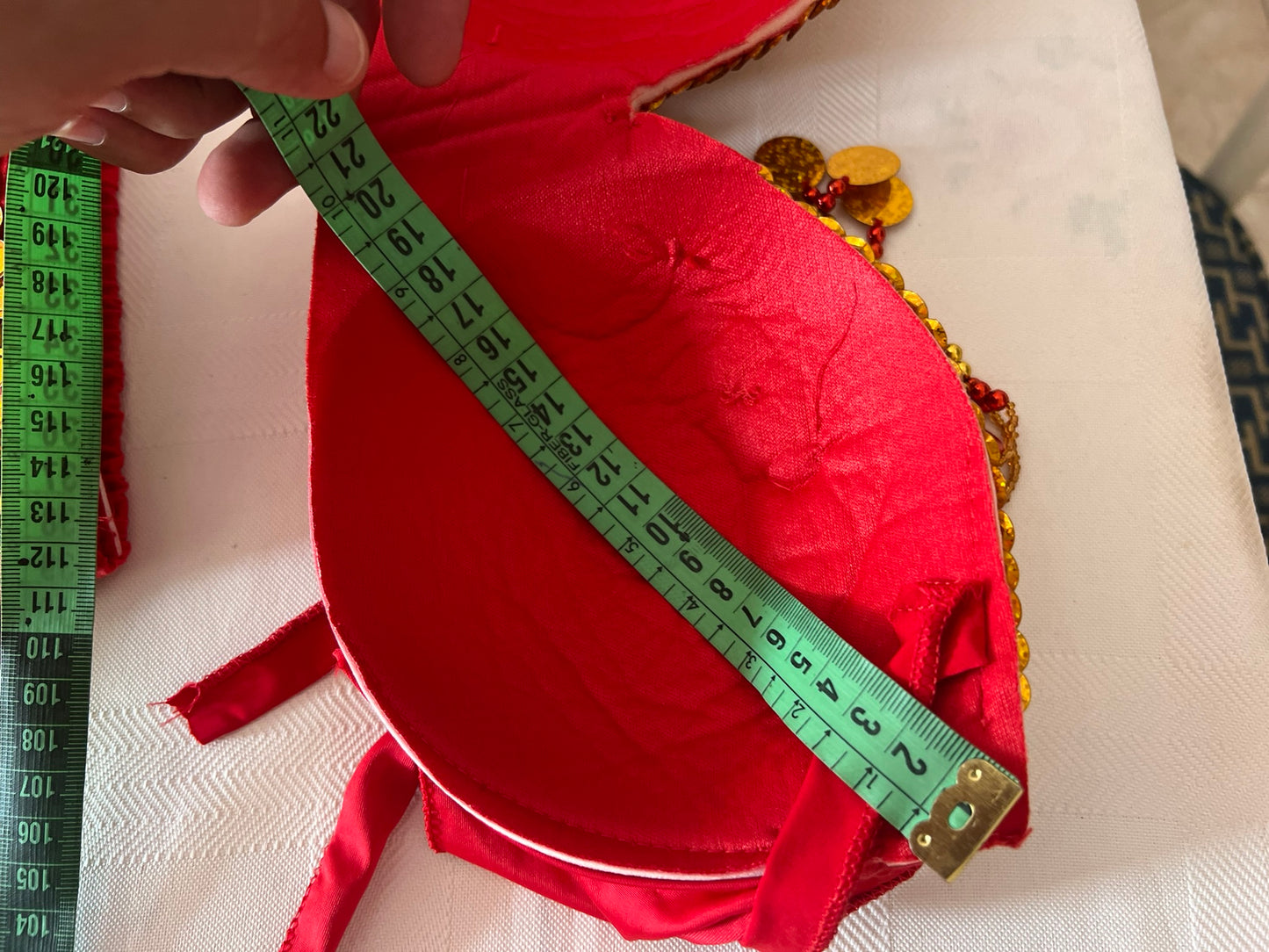 Sexy Egyptian belly dance costume/ Handmade belly dance belt, skirt and bra