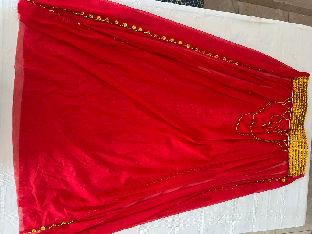 Sexy Egyptian belly dance costume/ Handmade belly dance belt, skirt and bra