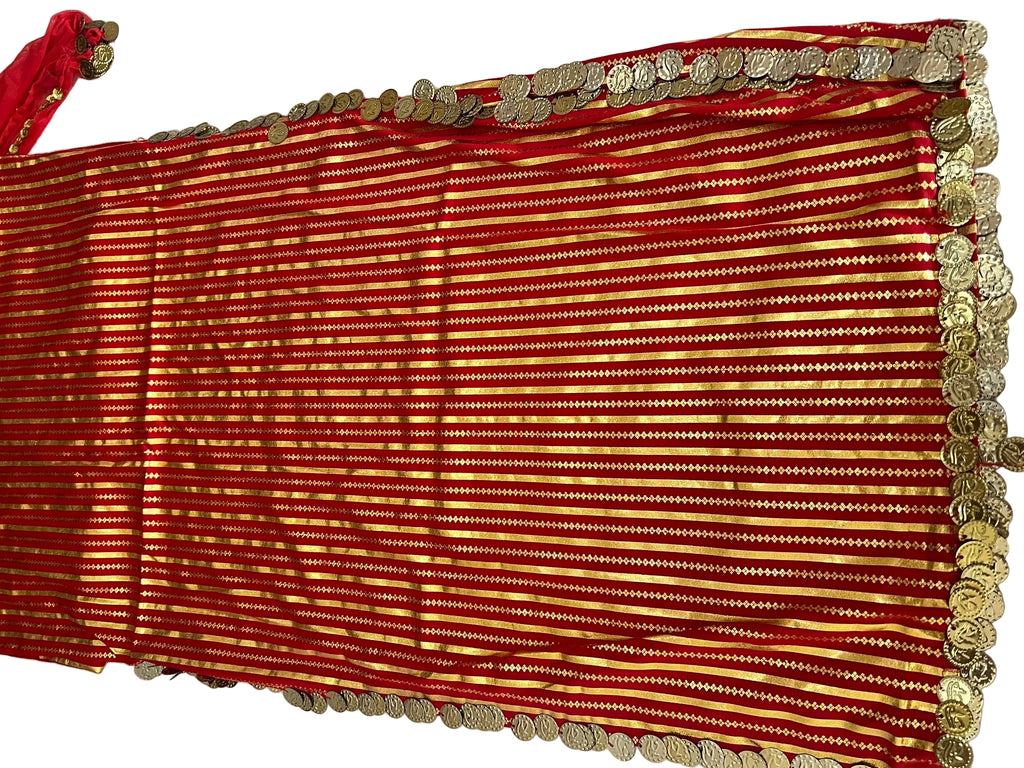 Red and gold saree with decorative border on a white background