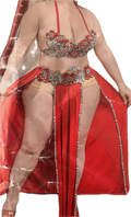 Sexy belly dance costume, one size dancing belt, skirt and bra بدلة رقص شرقى