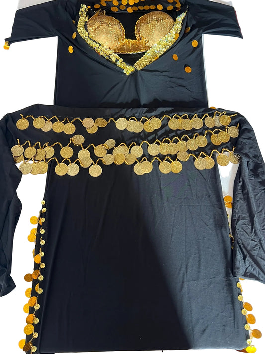 Elegant Egyptian Sexy Belly Dance Costume, Saidi Dress, Baladi Galabia, with Bra & Hip scarf.