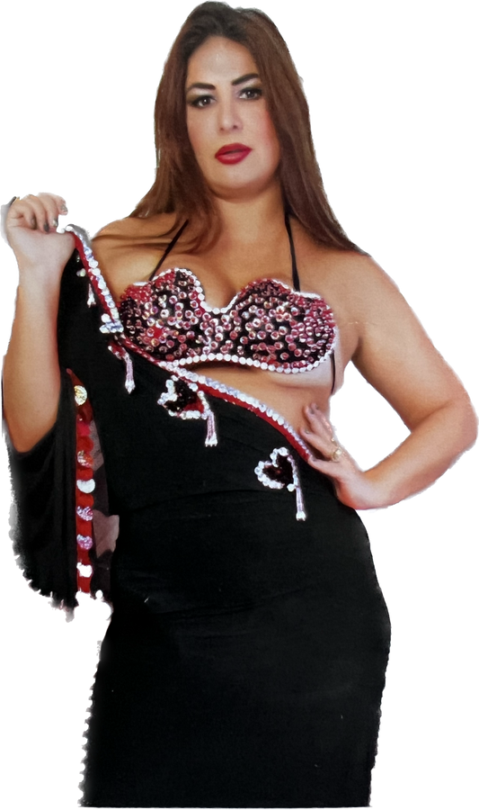 Egyptian Oriental Belly Dance Dress, with bra included, BELLYDANCE outfit, handmade embellished belly dance set, one size.