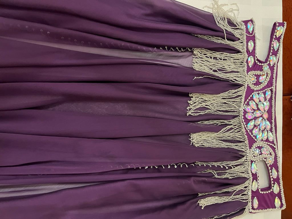 Luxurious premium quality elegant purple Professional belly dance costume/ custom-made