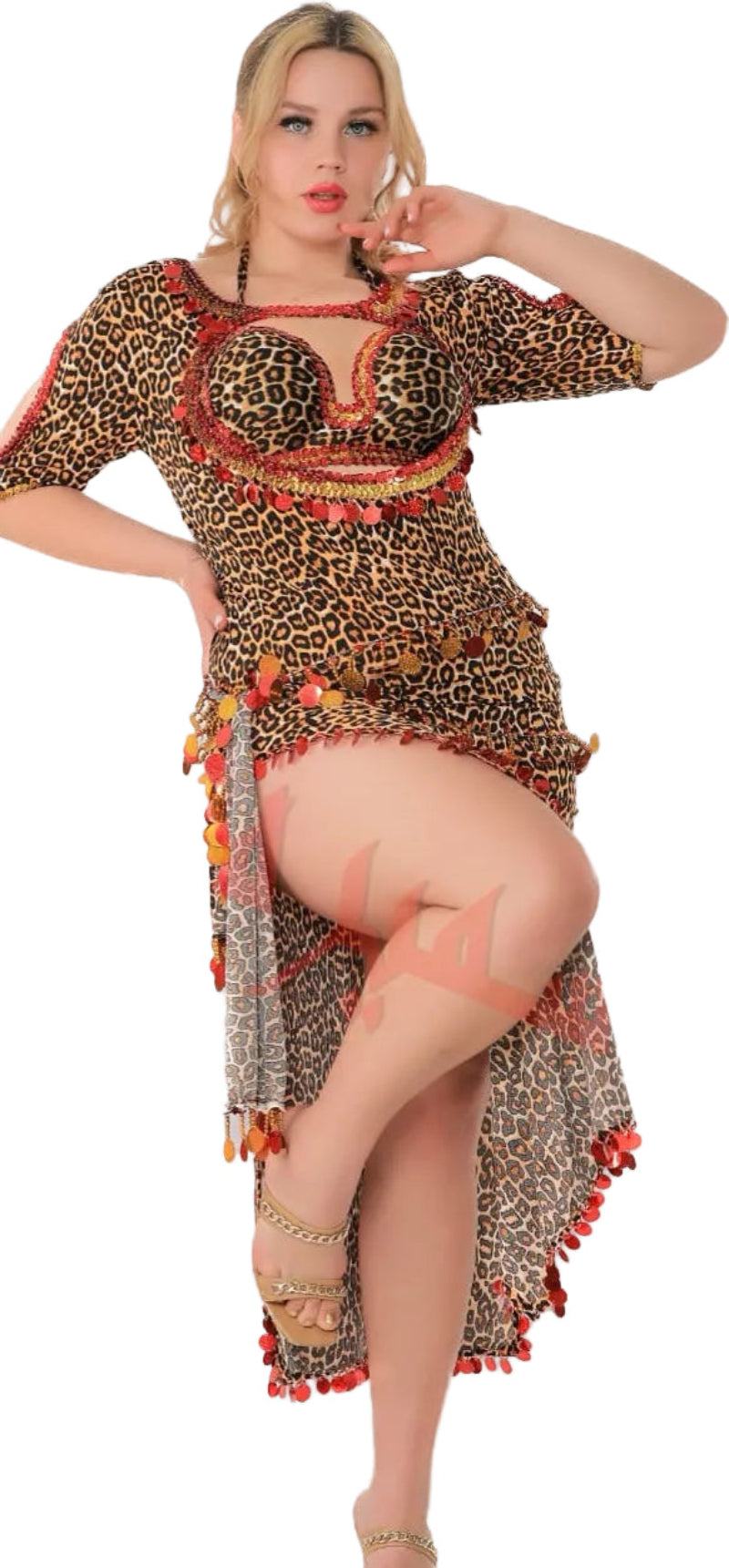 A woman wearing an Egyptian belly dance dress with leopard print and colorful floral patterns, including a matching bra.