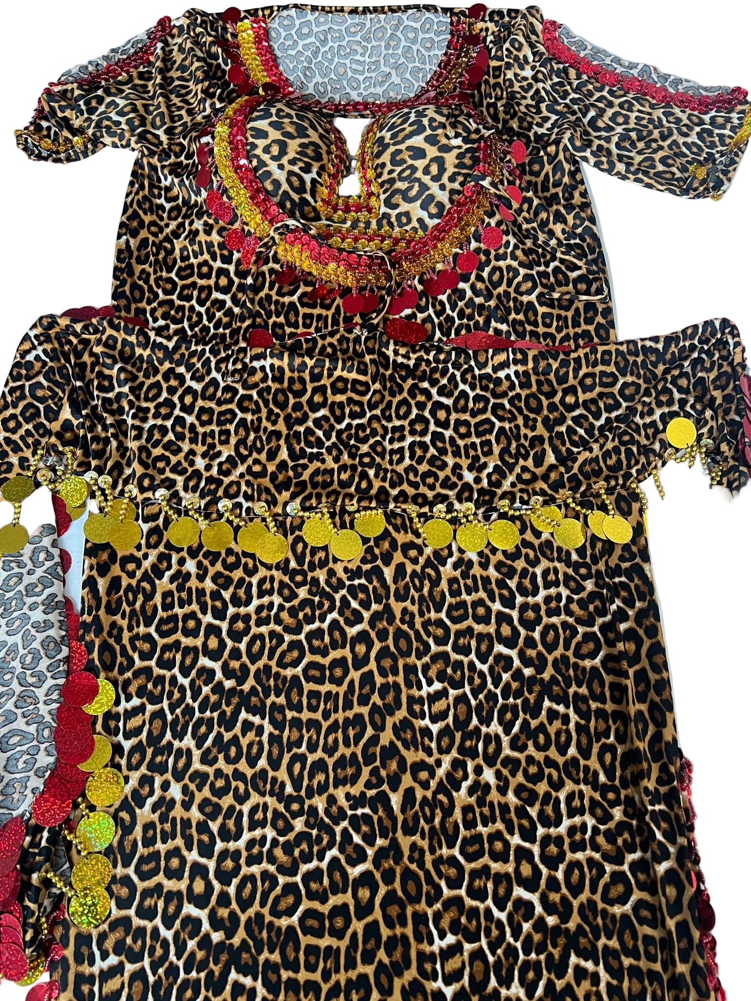 Leopard print dress with colorful accents on a white background