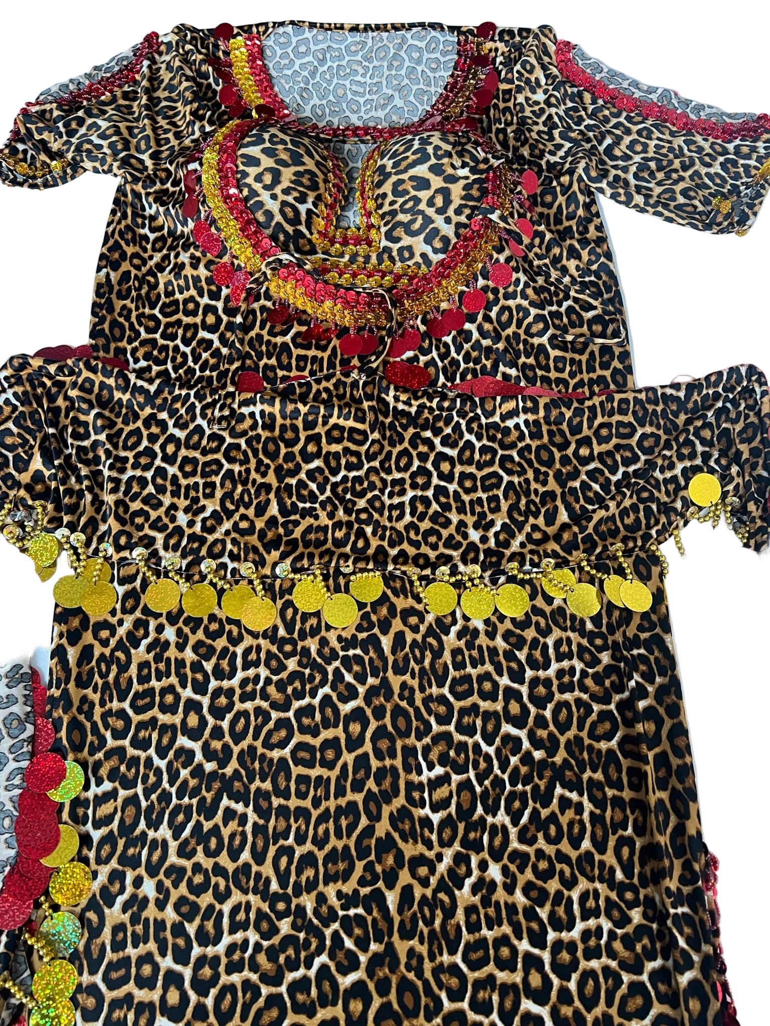 Leopard print dress with colorful trim on a light blue background