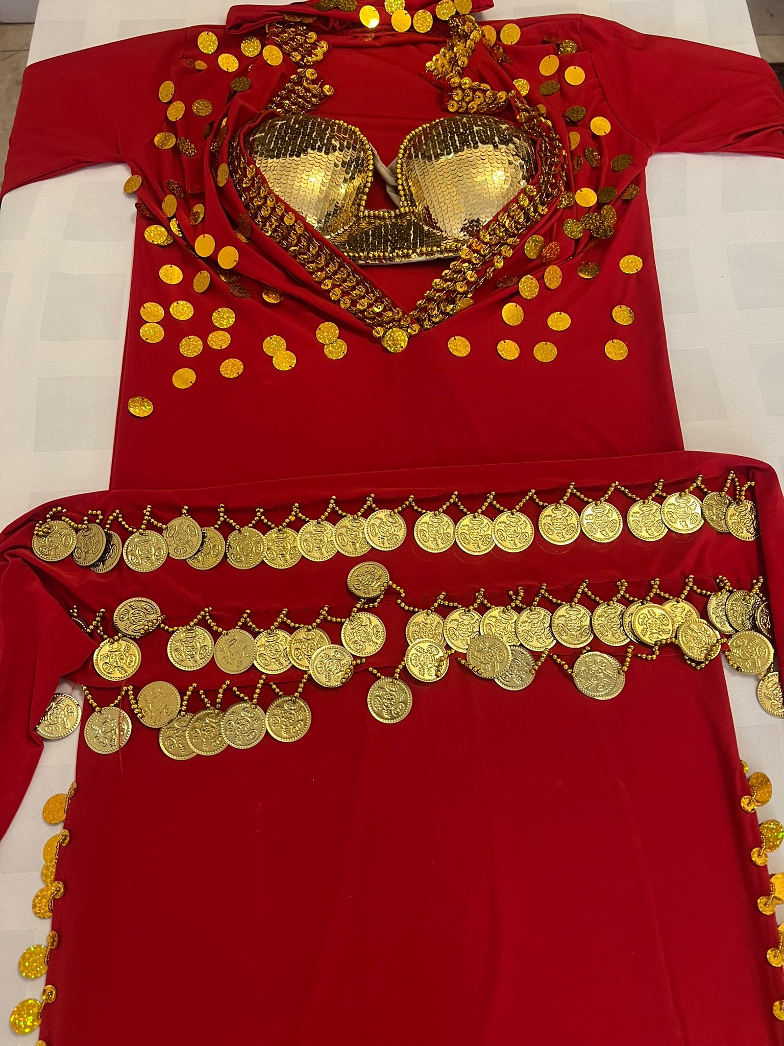 Elegant Egyptian Sexy Belly Dance Costume, Saidi Dress, Baladi Galabia, with Bra & Hip scarf.