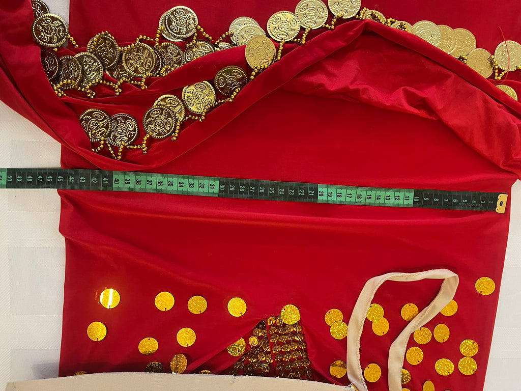 Elegant Egyptian Belly Dance Costume – Saidi Galabia with Bra, Hip Scarf & Headpiece