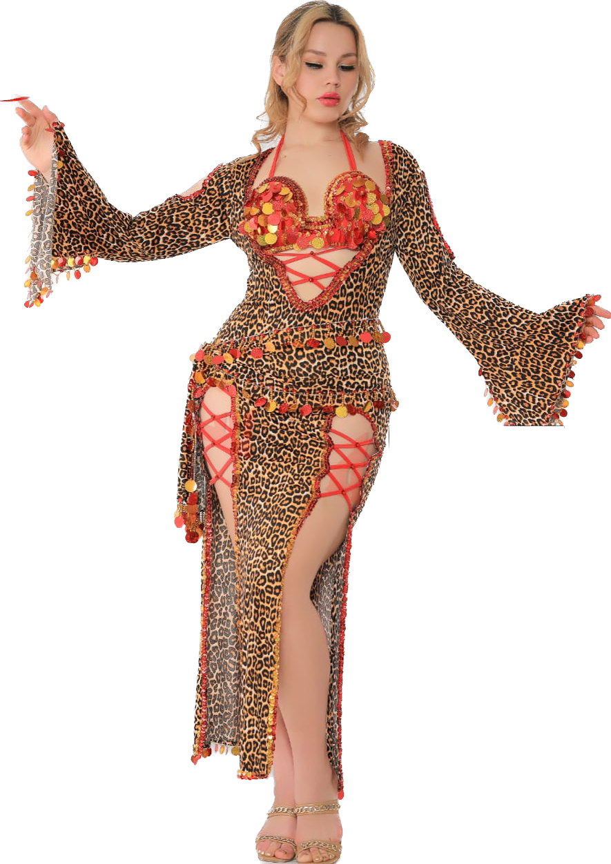 Egyptian belly dance dress with bra, belly dance Saidi Galabia, one size, leopard print dancing outfit