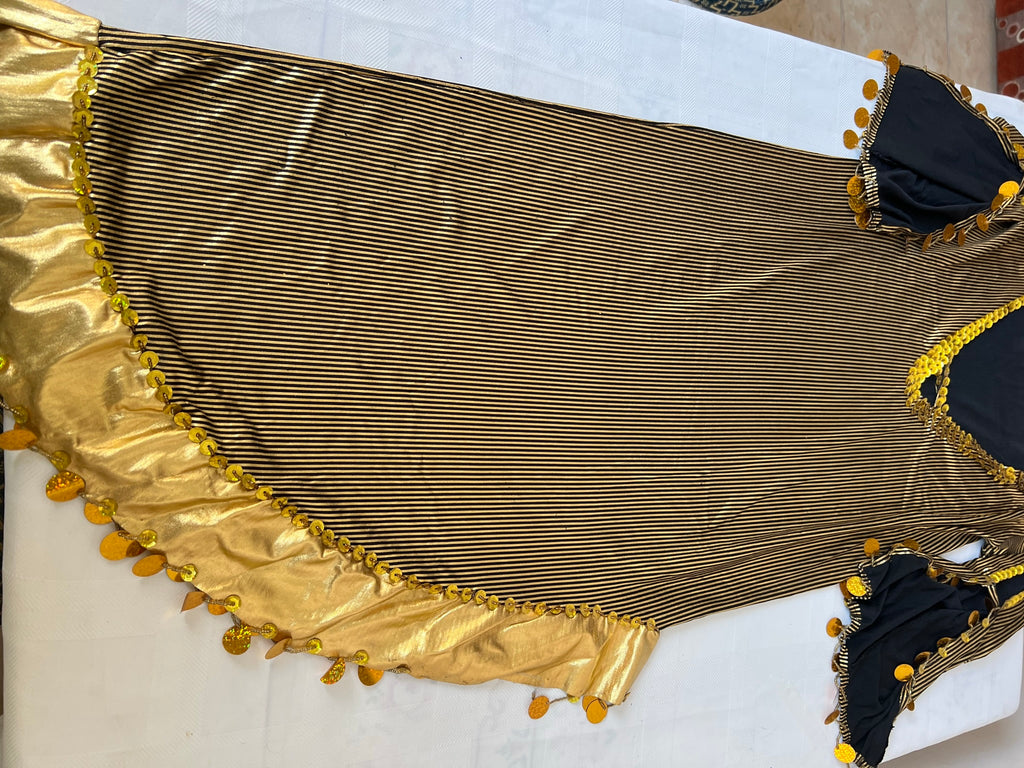 Ägyptisches neues Bauchtanzkleid, Saidi Bauchtanzkostüm, Einheitsgröße mit Körbchengröße B