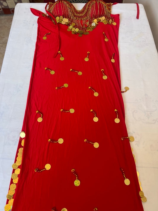 Egyptian Sexy belly dance costume, handmade embroidered belly dance dress unisize بدلة رقص شرقى
