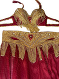 Red and gold embroidered costume with fringes on a white background