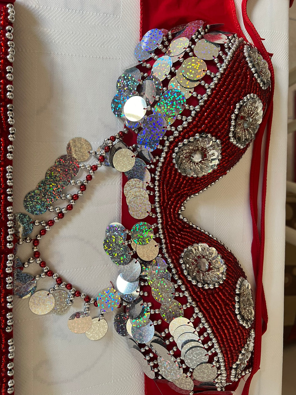 Egyptian Belly Dance Costume – Saidi Style Folklore Outfit with Handmade Embroidery, Bra & Chiffon Skirt