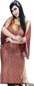 An Egyptian belly dance dress with black and silver stripes and embroidery, featuring a V-neckline and sleeveless design.