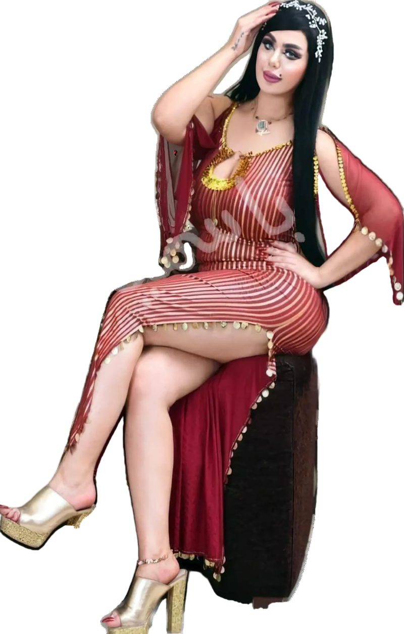 A woman wearing an Egyptian belly dance dress with black and silver stripes and embroidery, featuring a V-neckline and sleeveless design.