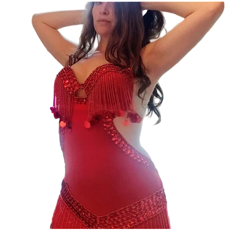 Ägyptisches sexy Bauchtanzkostüm, handgemachtes besticktes Dessouskleid بدلة رقص 