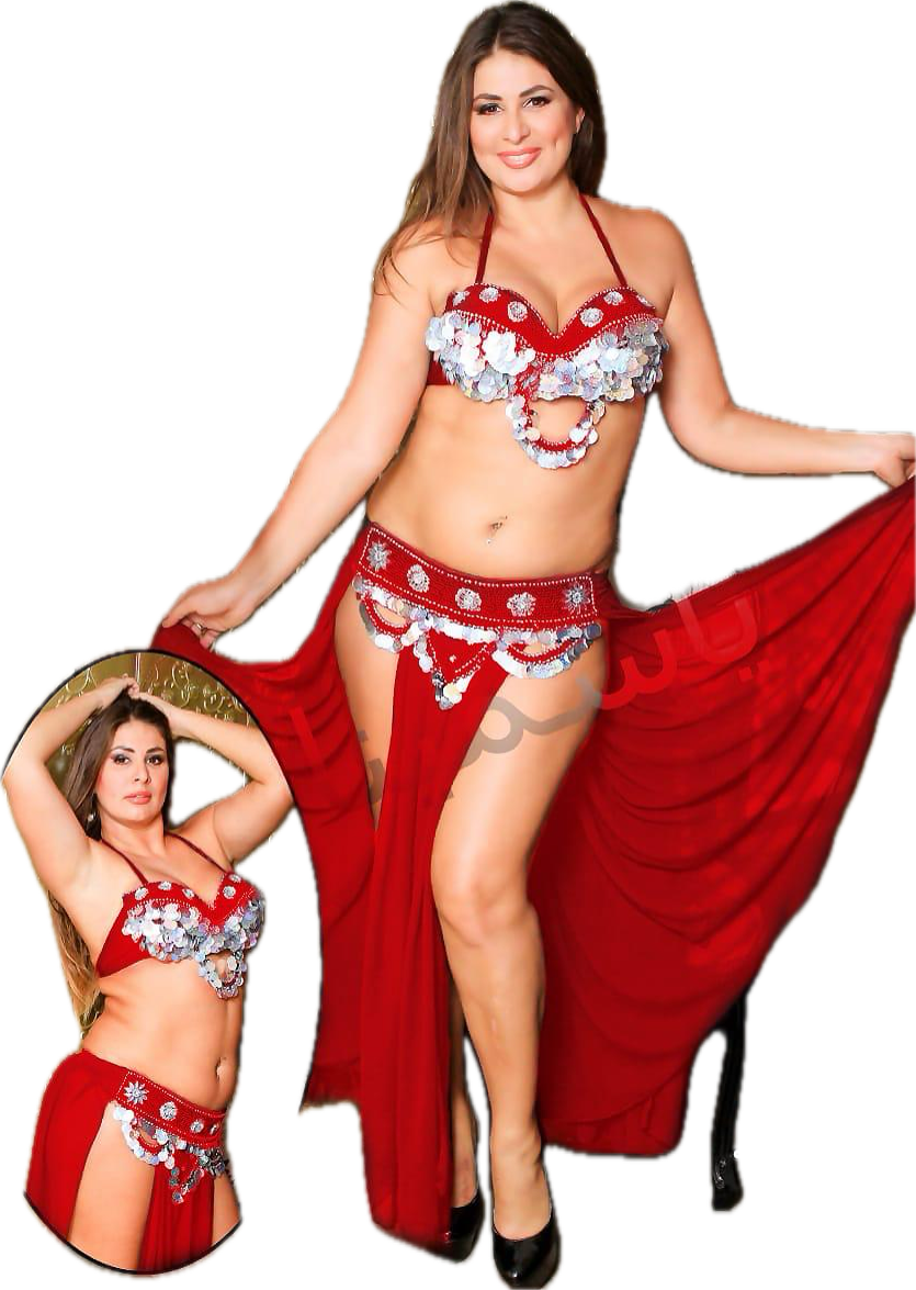 Egyptian Sexy belly dance costume, handmade belly dance dress, belt, skirt, scarf بدلة رقص شرقى