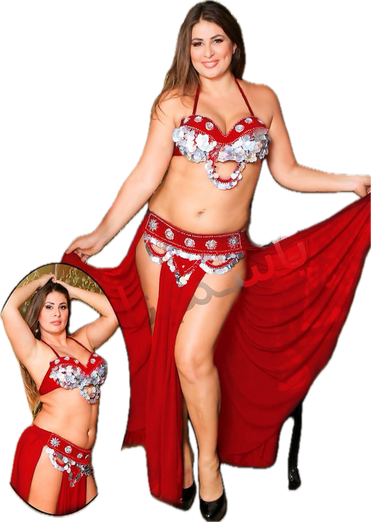 Egyptian Sexy belly dance costume, handmade belly dance dress, belt, skirt and Bra Belly dancing ensemble