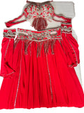 A professional red belly dance costume with a double-layer chiffon skirt, including a bra and a belt with decorations, placed on a white surface.