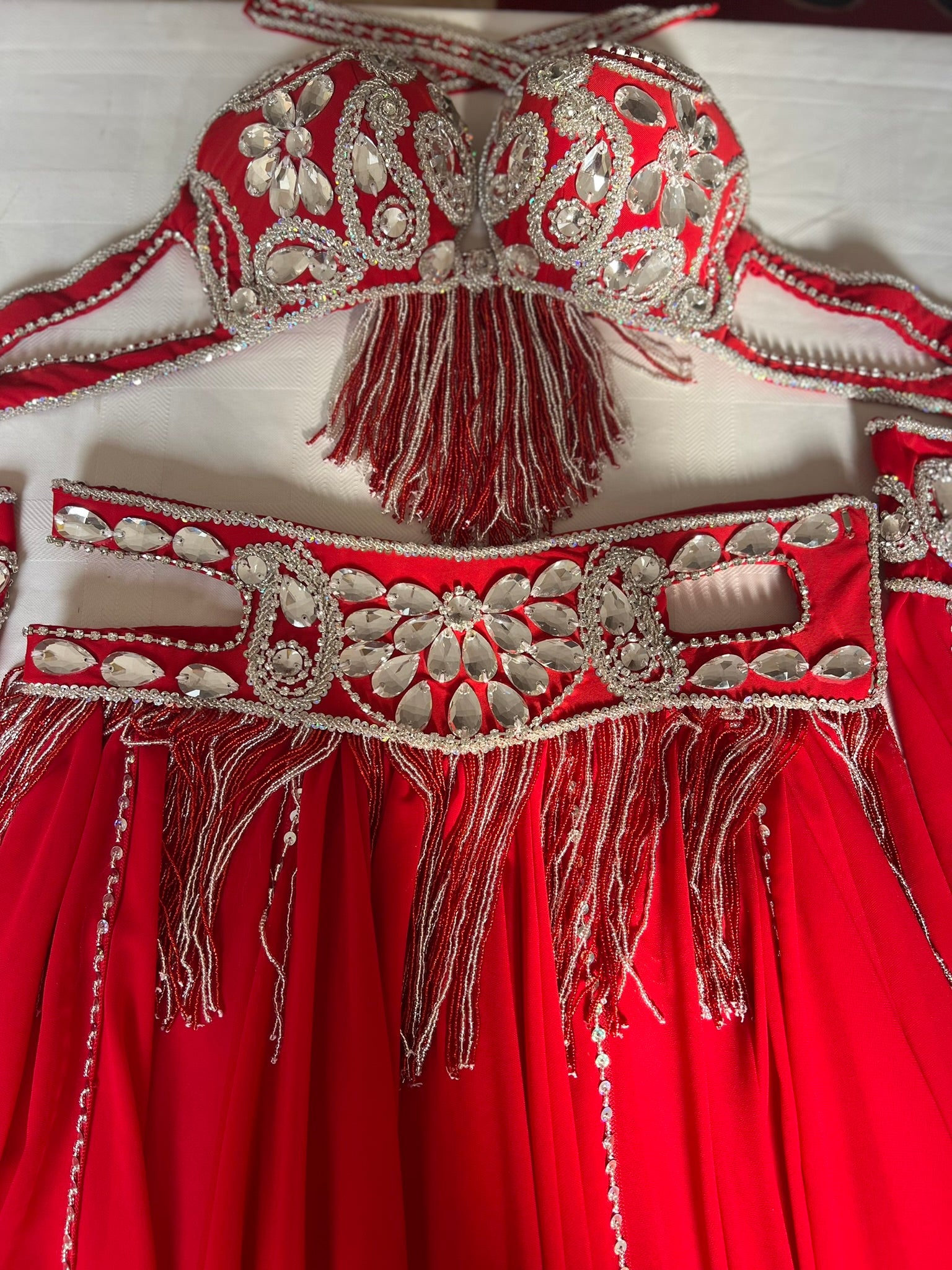 Professional Belly Dance Costume From Egypt BELLYDANCE Custom-made Any Colour New
