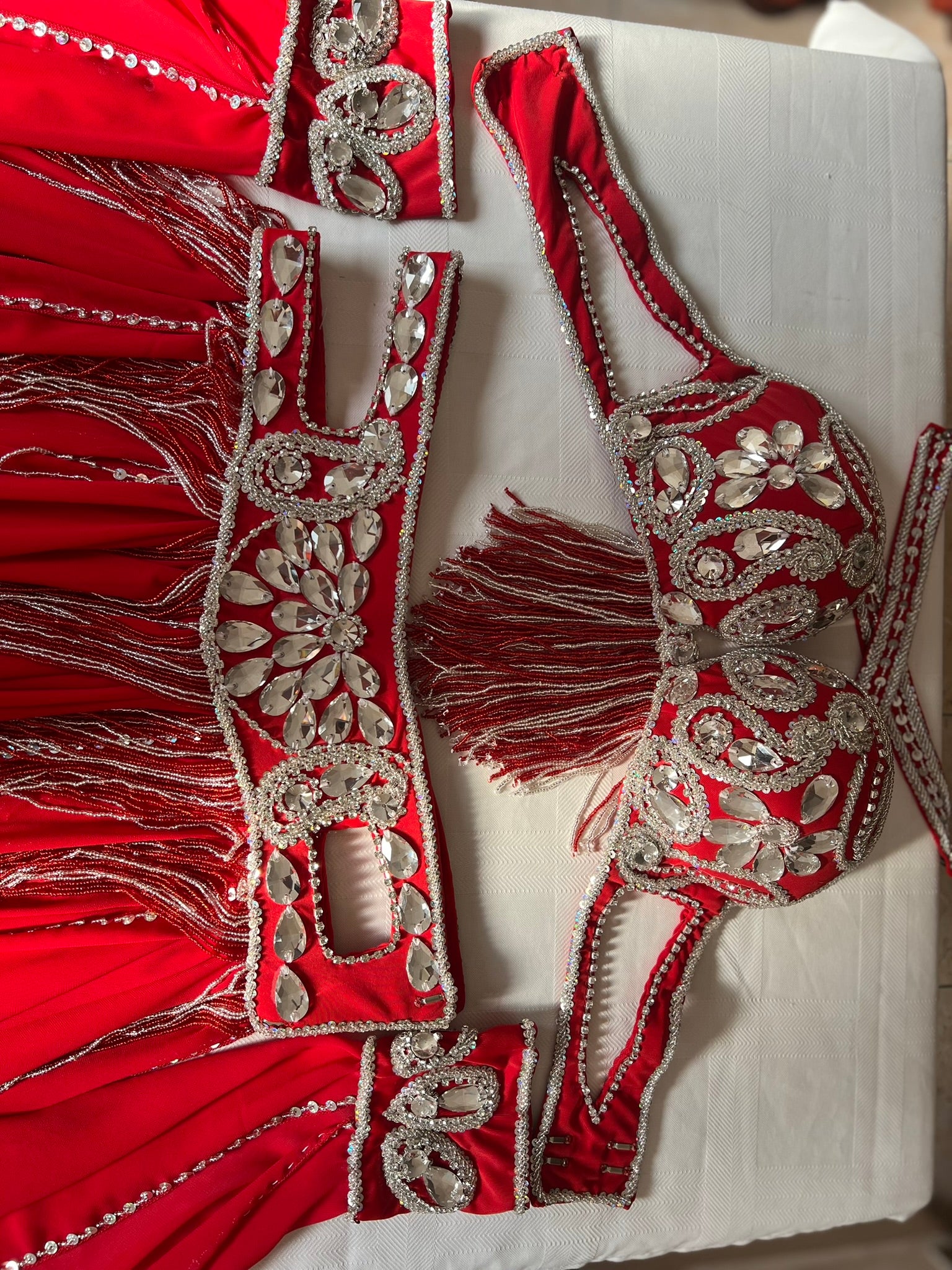 Professional Belly Dance Costume From Egypt BELLYDANCE Custom-made Any Colour New
