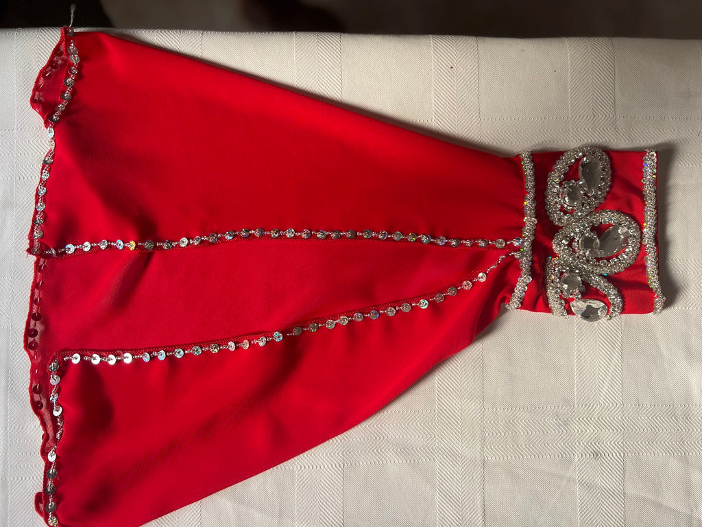 Professional Belly Dance Costume From Egypt BELLYDANCE Custom-made Any Colour New