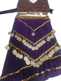 Purple fabric with gold and silver coin patterns on a textured surface