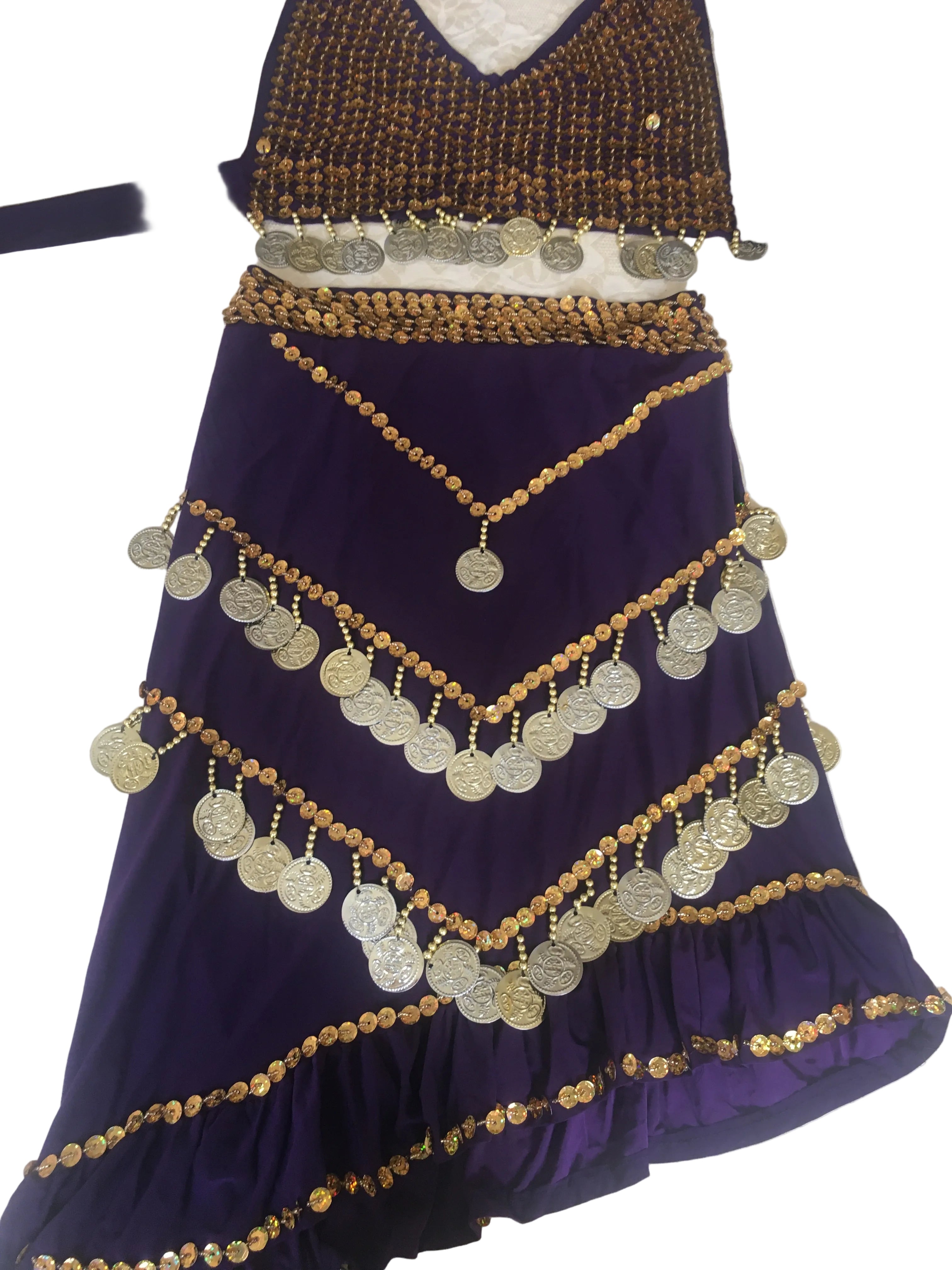 Purple garment with gold and silver coin detailing on a textured surface
