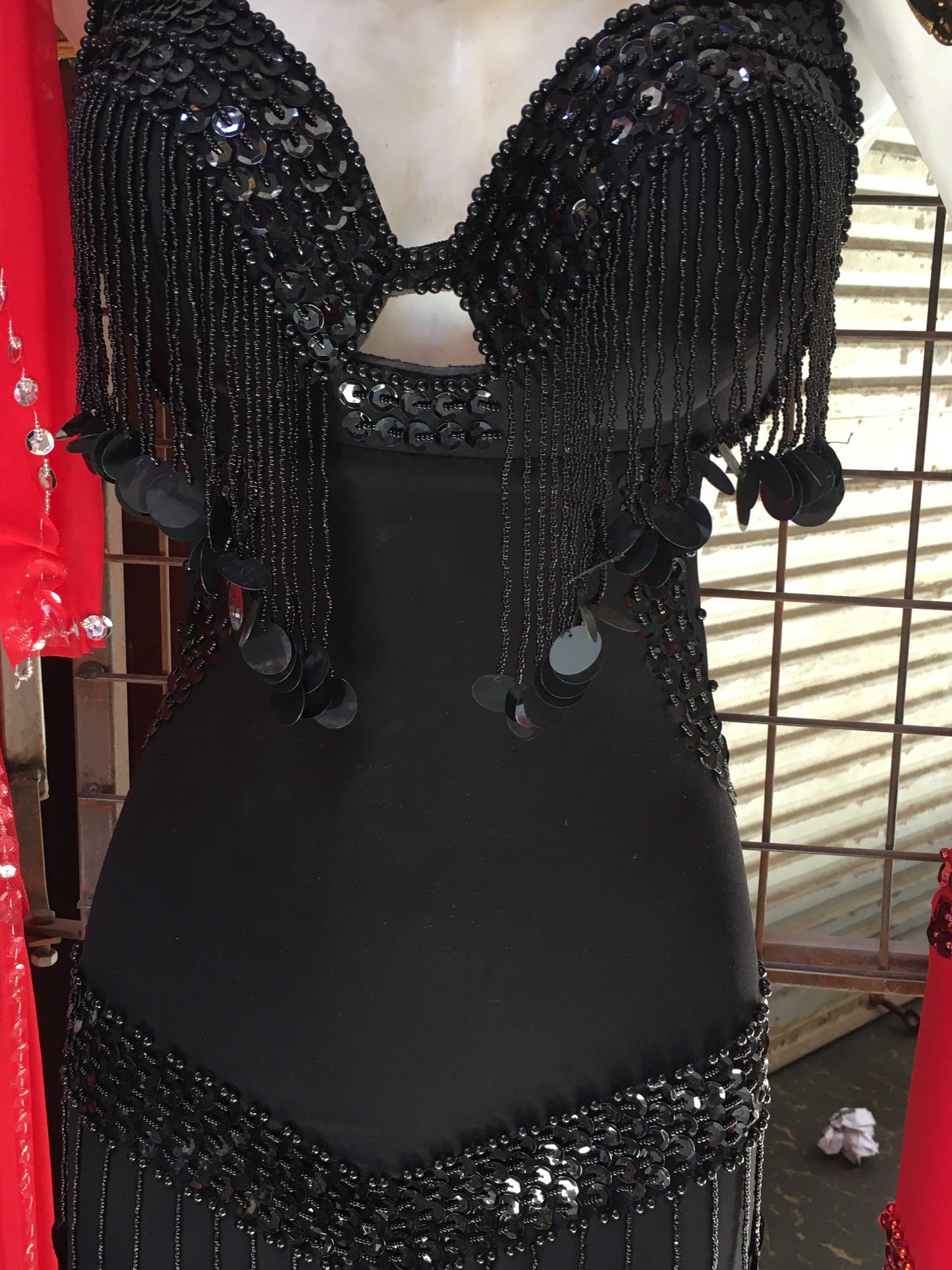 Egyptian Sexy belly dance costume, handmade embroidered bellydance dress unisize