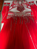 Professional Sexy red Belly Dance Costume from Egypt, Belly dancing Custom-made outfit, High quality ensemble.