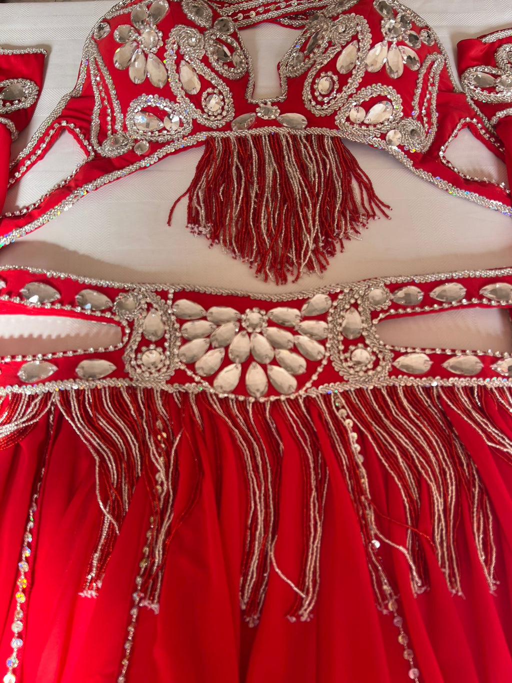 Professional Sexy red Belly Dance Costume from Egypt, Belly dancing Custom-made outfit, High quality ensemble.