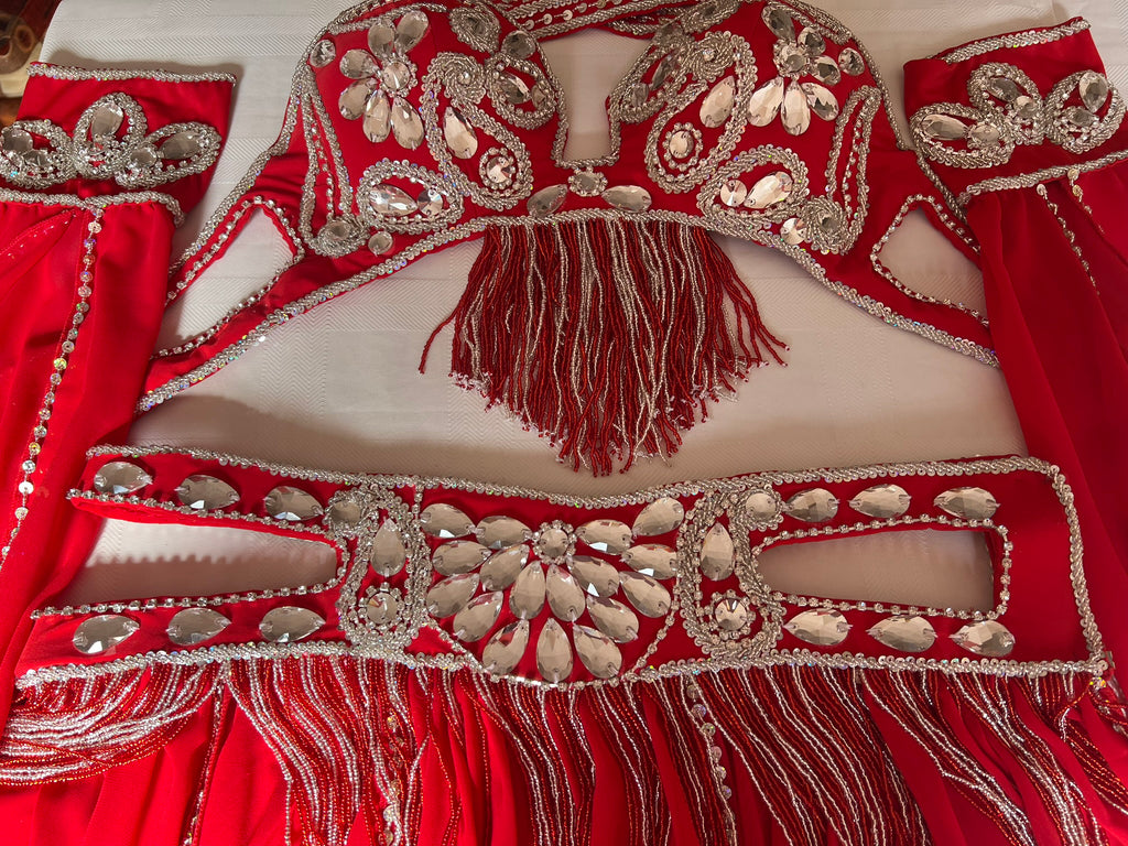 Professional Sexy red Belly Dance Costume from Egypt, Belly dancing Custom-made outfit, High quality ensemble.