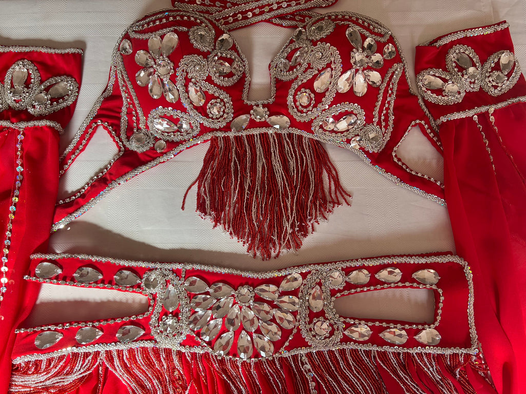 Professional Sexy red Belly Dance Costume from Egypt, Belly dancing Custom-made outfit, High quality ensemble.