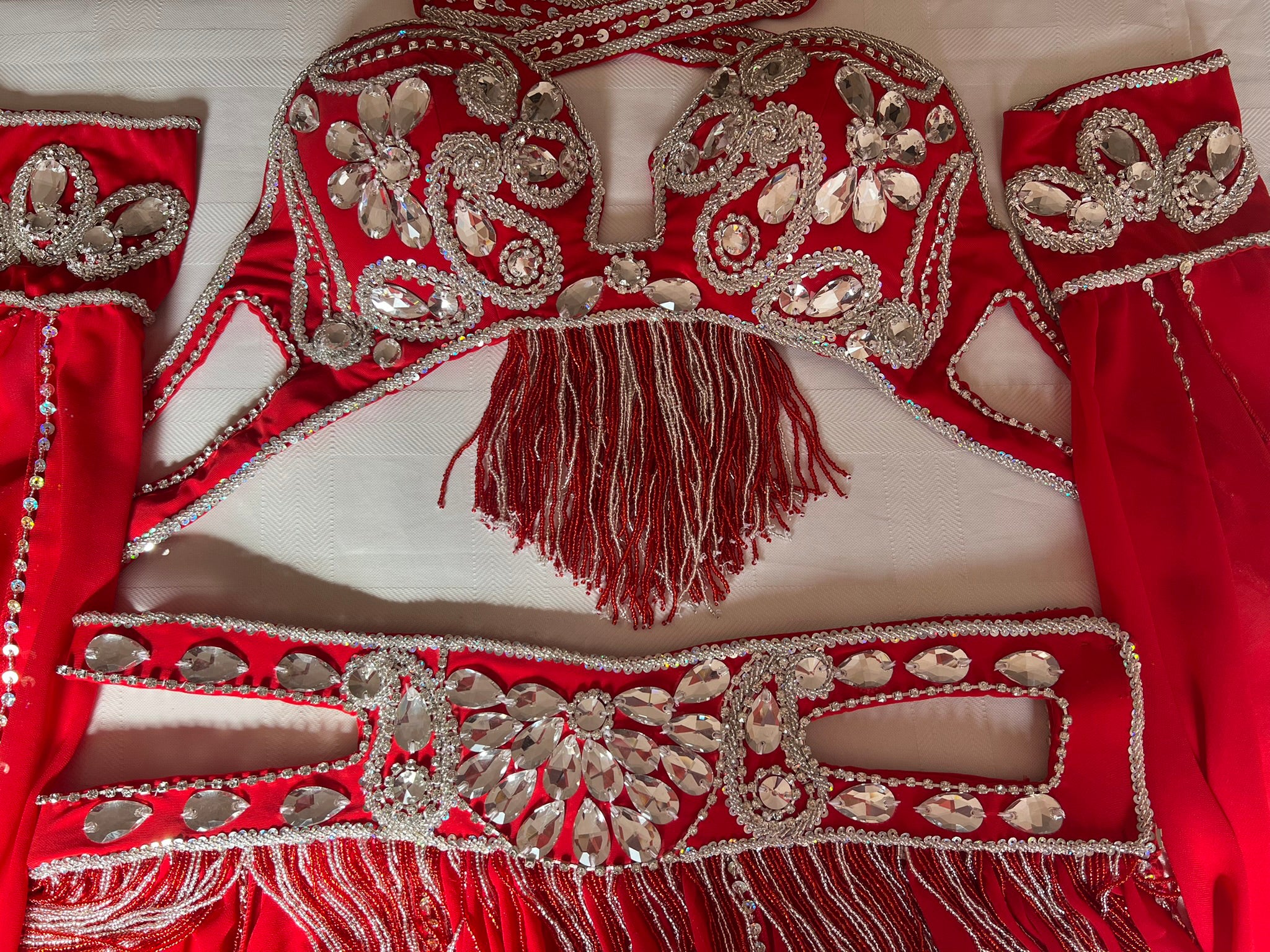 Professional Sexy red Belly Dance Costume from Egypt, Belly dancing Custom-made outfit, High quality ensemble.