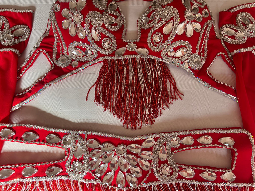 Professional Sexy red Belly Dance Costume from Egypt, Belly dancing Custom-made outfit, High quality ensemble.