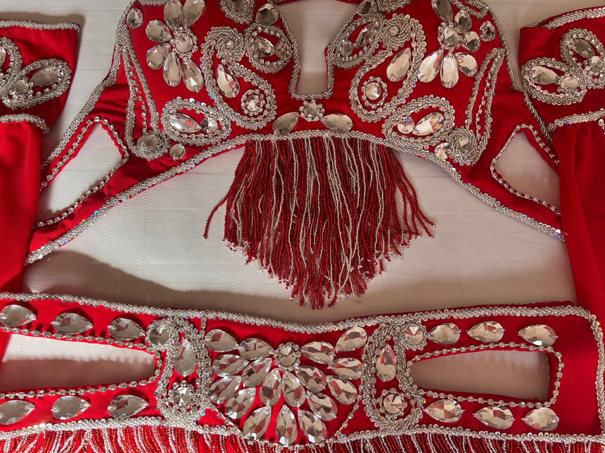 Professional Sexy red Belly Dance Costume from Egypt, Belly dancing Custom-made outfit, High quality ensemble.