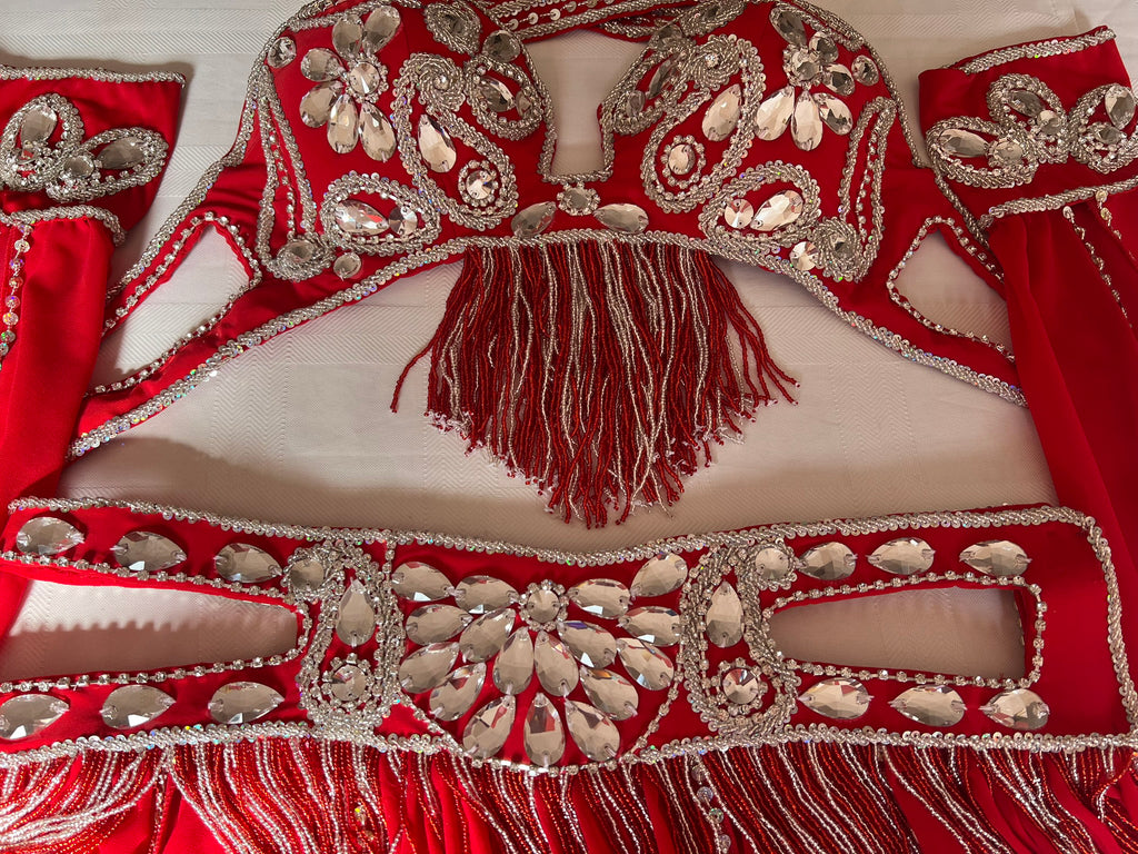 Professional Sexy red Belly Dance Costume from Egypt, Belly dancing Custom-made outfit, High quality ensemble.