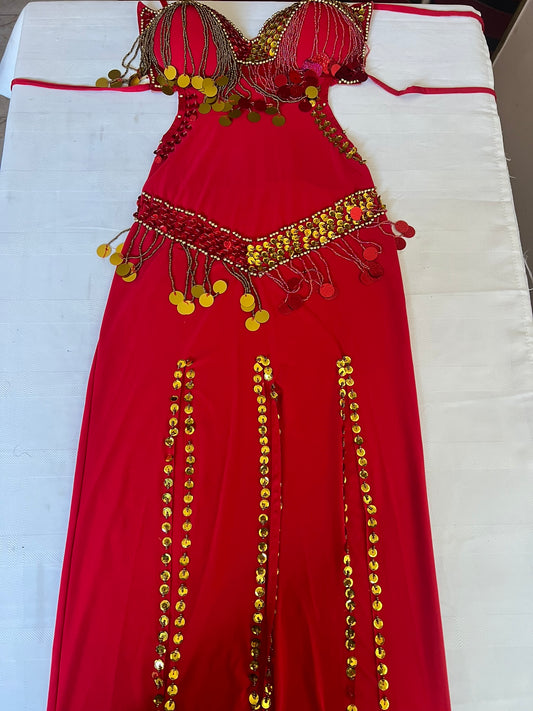 Egyptian Sexy belly dance costume, handmade beaded belly dance dress, بدلة رقص