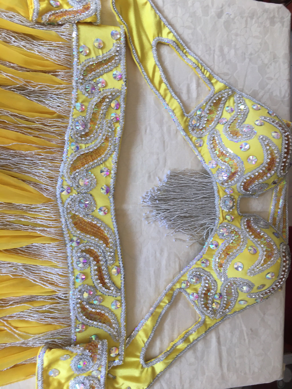 Professional Belly Dance Costume from Egypt / Belly dancer Custom Made Outfit